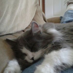 Meet your Posher, Phyllis