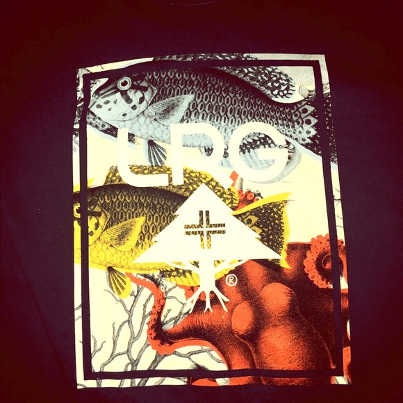 LRG - Picture 1 of 1