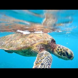 Meet your Posher, Karina