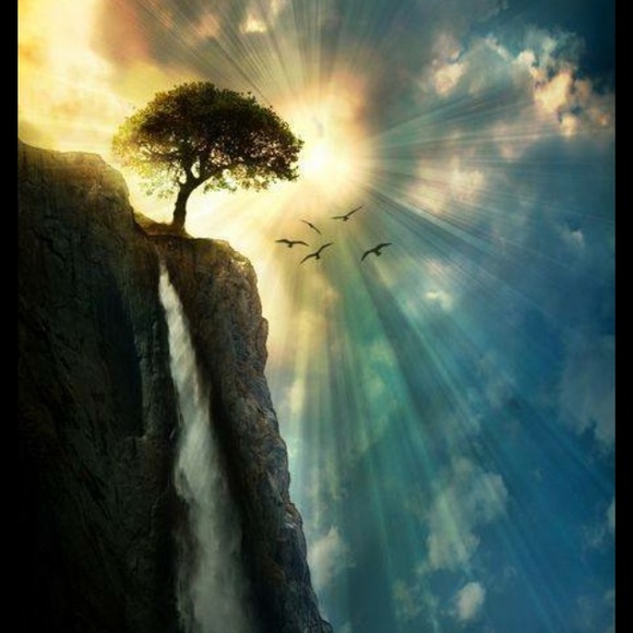 Meet your Posher, Alicia