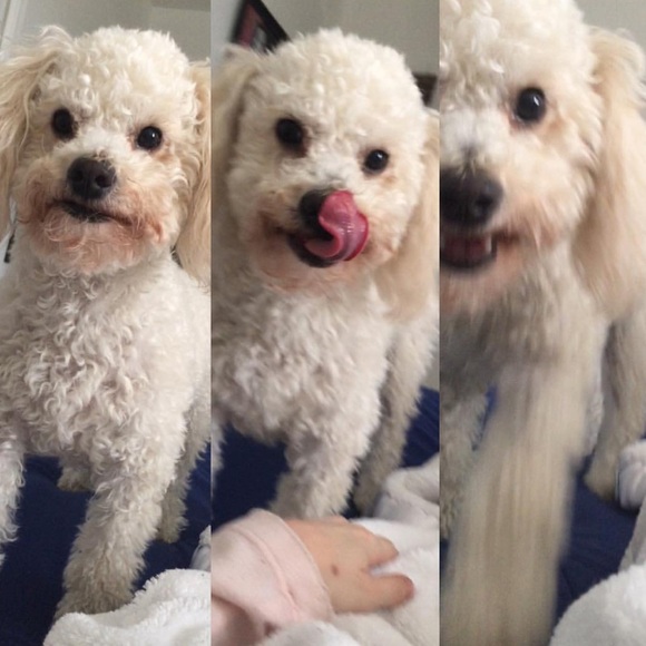 Hi everyone! 💕🌸💭✨ - Picture 2 of 4