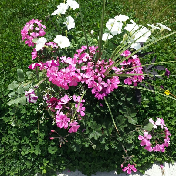 Meet your Posher, Mel