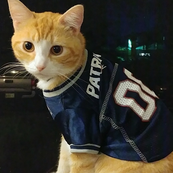 Welcome to my closet!! - Picture 6 of 6