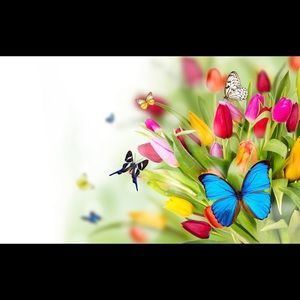 Meet your Posher, Fernanda