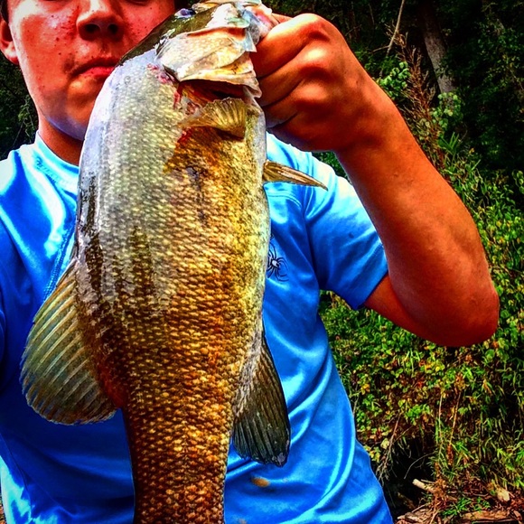 Meet your Posher, Stetson - Picture 2 of 3