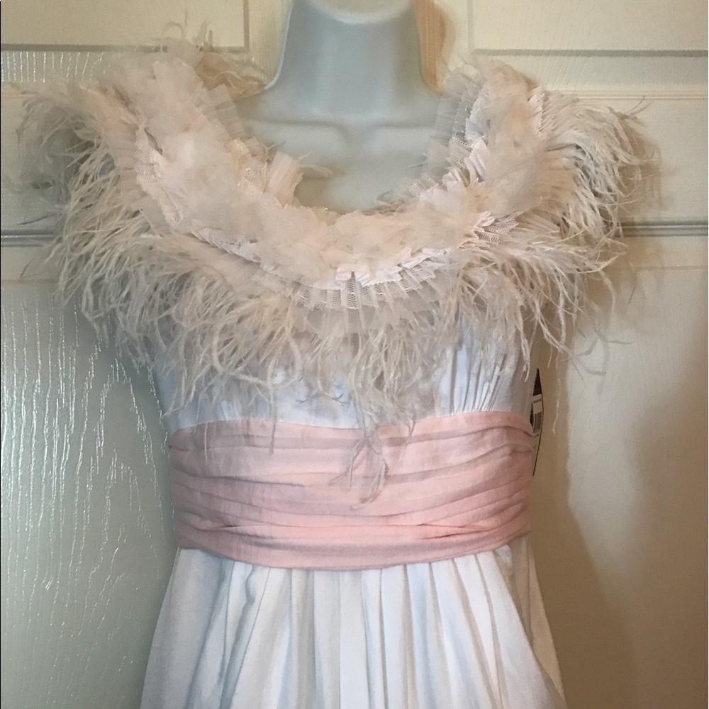 women's semiformal full length BCBG gown