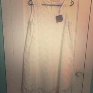 Beautiful ASOS CURVE lace babydoll dress