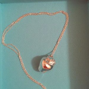 Brand new Tiffany & Co Silver Apple Necklace