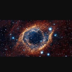 Meet your Posher, Max