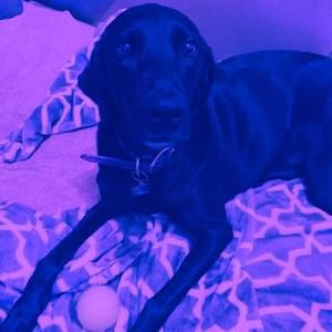 Meet your Posher, Jordan