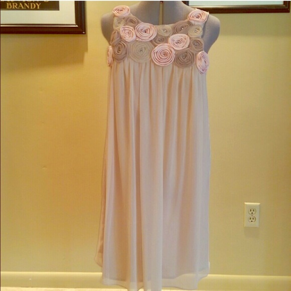 NWT Pink Dress with Rose Detail