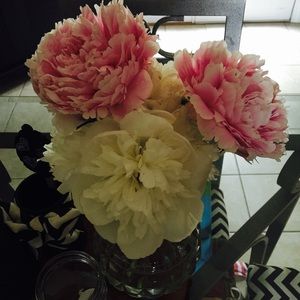 Meet your Posher, Shana