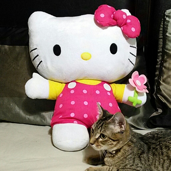 Hello kitty
