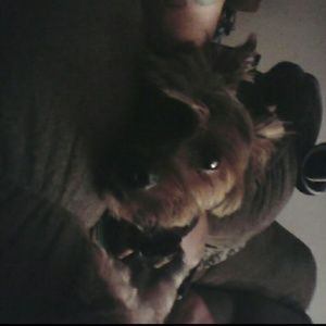 Meet your Posher, Pat