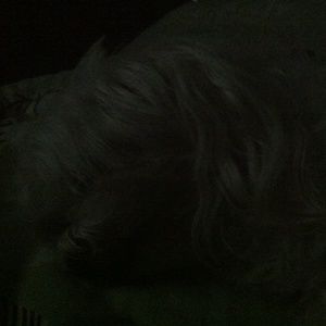 Meet your Posher, Brenda