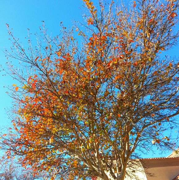 Meet your Posher, BlessedLife05. - Picture 3 of 4