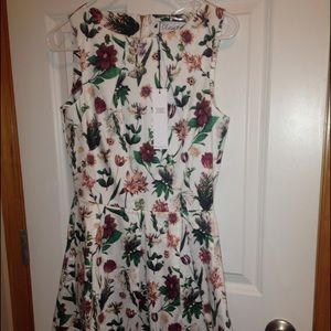 Modcloth designed in London dress New With Tags