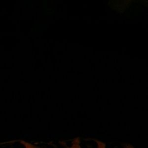 Meet your Posher, Kunisha