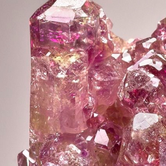 Meet your Posher, Shana - Picture 2 of 4