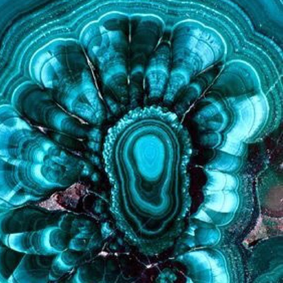 Meet your Posher, Shana - Picture 4 of 4