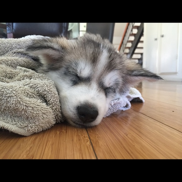 Meet your Posher, Ashley