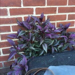 Meet your Posher, Caitlin