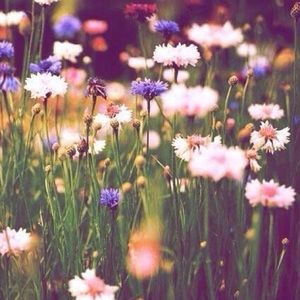 Meet your Posher, Drew