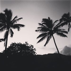 Meet your Posher, Aloha Mama!