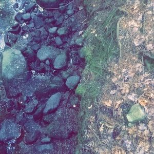 Meet your Posher, Deanna