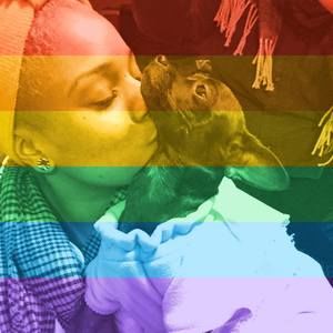 Meet your Posher, Bee