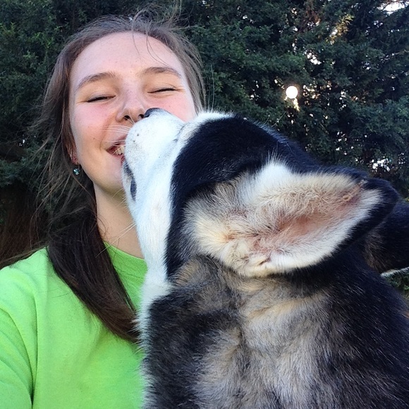 Meet your Posher, Mackenzie - Picture 1 of 1