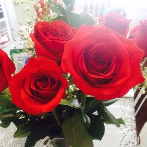 Meet your Posher, Brenda