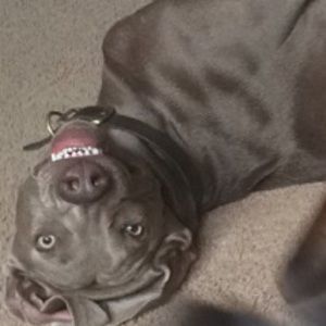 Meet your Posher, Kristy