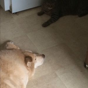 Meet your Posher, Cecilia