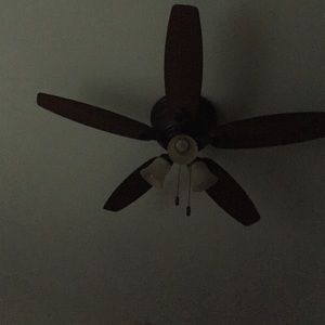 Meet your Posher, Chelsea