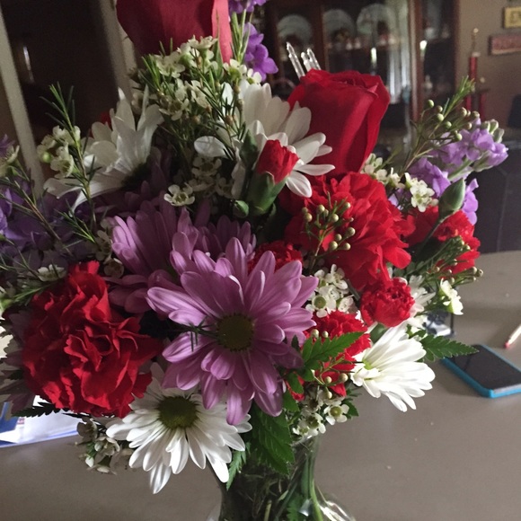 Meet your Posher, Sera - Picture 1 of 1