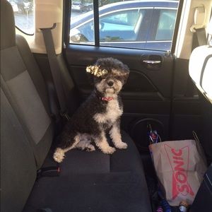 Meet your Posher, Alisha