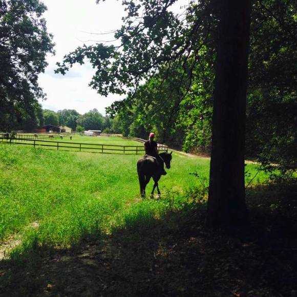 Meet your Posher, Bethany - Picture 1 of 1