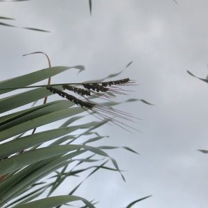 Meet your Posher, Raegan