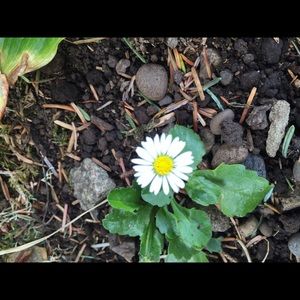 Meet your Posher, Tracy