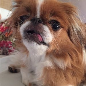 Meet your Posher, Brianne