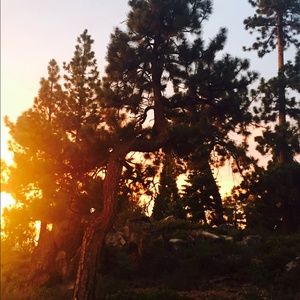 Meet your Posher, Betsy