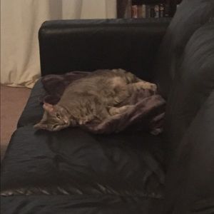 Meet your Posher, Jason