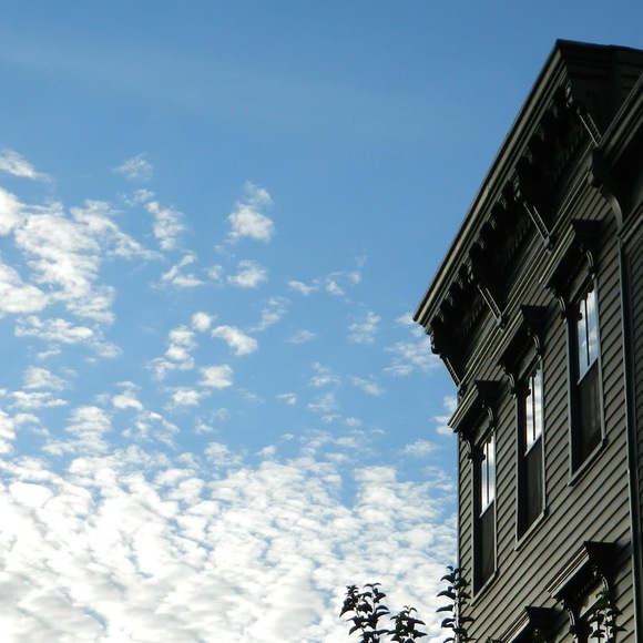 Meet your Posher, Chelcey - Picture 1 of 1