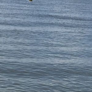 Meet your Posher, Ruhilla