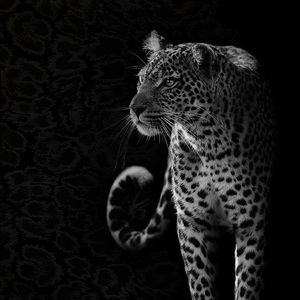 Meet your Posher, Cristina