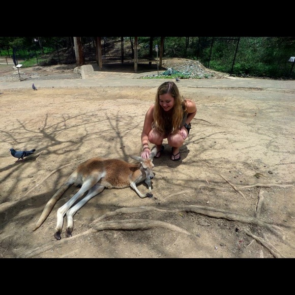 Meet Your Posher!! - Picture 3 of 3