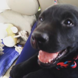 Meet your Posher, Lizzie