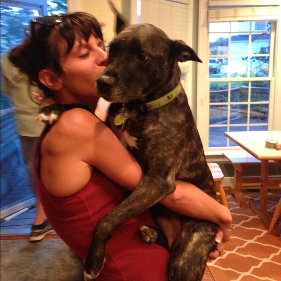 🐶 Mini Pit 🐶 - Picture 4 of 4