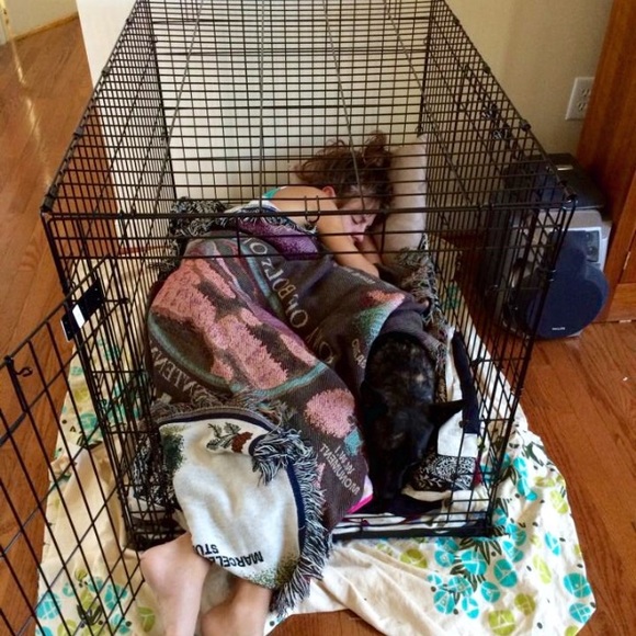 🐶 Mini Pit 🐶 - Picture 2 of 4